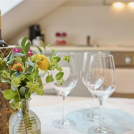 Alte Schmelz Aparthotel 3*