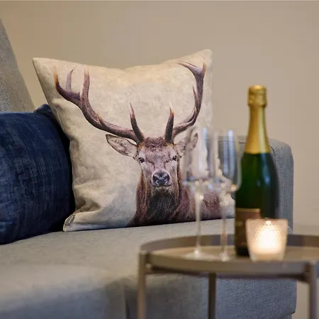 Alte Schmelz באד דירקהיים