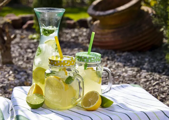 Alte Schmelz מלון דירות