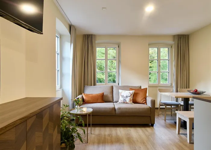 מלון דירות Alte Schmelz