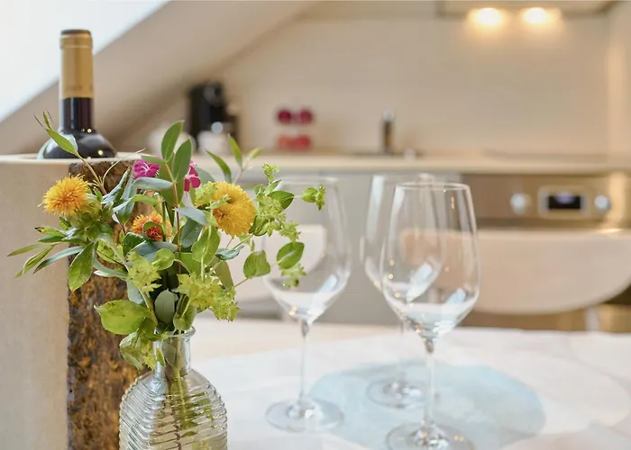 Alte Schmelz מלון דירות 3*