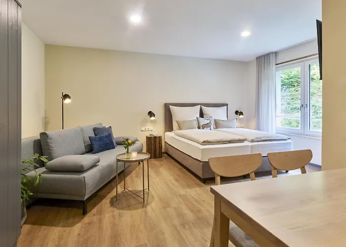 מלון דירות Alte Schmelz באד דירקהיים