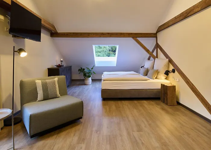 מלון דירות Alte Schmelz 3*