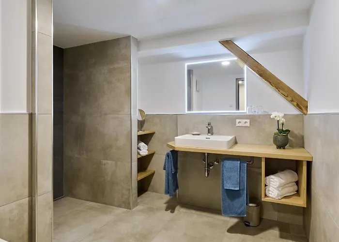 Alte Schmelz מלון דירות